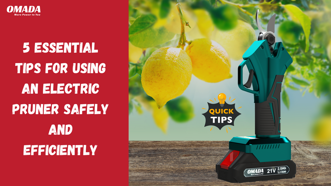 5 Essential Tips for Using an Electric Pruner Safely and Efficiently
