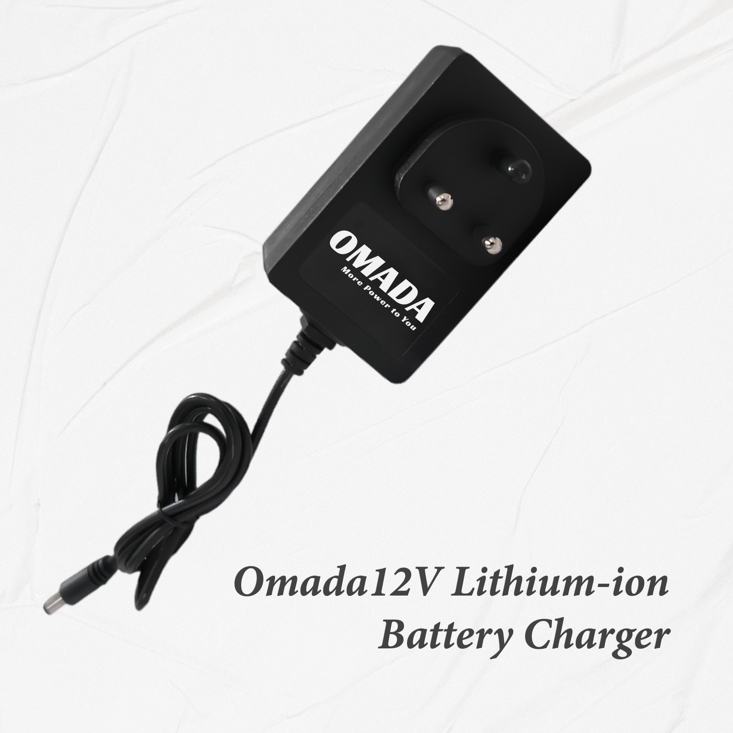 12v Lithium Ion battery Charger